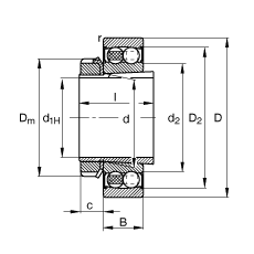 ���{(di��o)�����S�� 2210-K-2RS-TVH-C3 + H310, ����(j��) DIN 630 �� DIN 5415 ��(bi��o)��(zh��n)����Ҫ�ߴ�, ���F�׺;o���ף��ɂ�(c��)���ܷ�